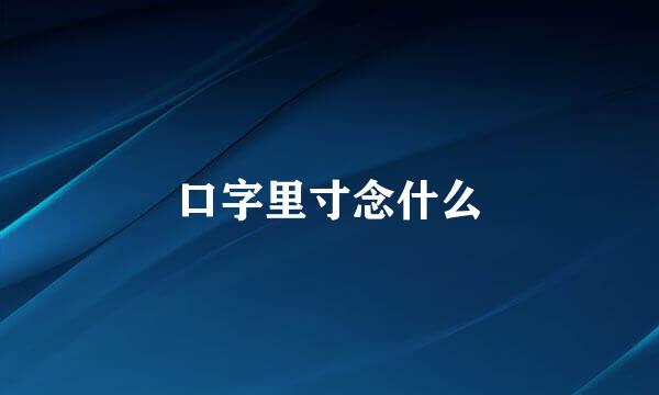 口字里寸念什么