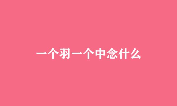 一个羽一个中念什么