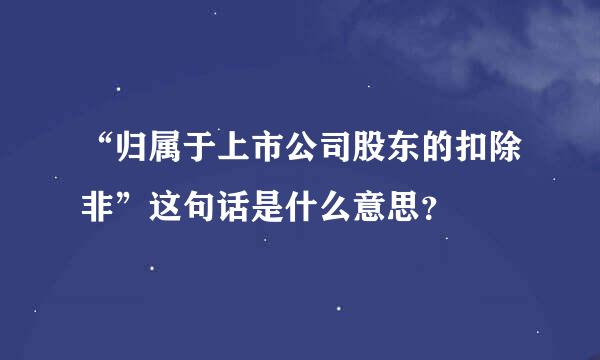 “归属于上市公司股东的扣除非”这句话是什么意思？