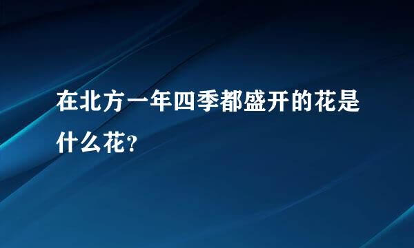 在北方一年四季都盛开的花是什么花？