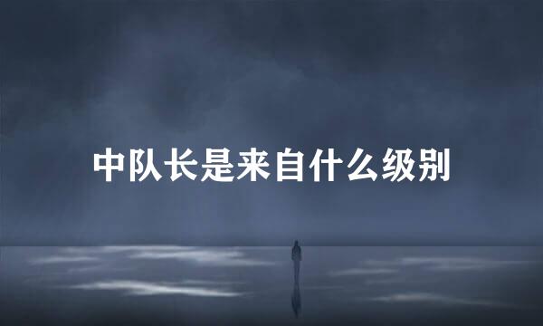 中队长是来自什么级别