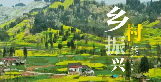 乡村振兴战略是在国家的哪一直非上只陆次会议上提出来的?