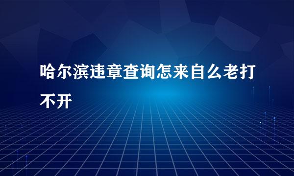 哈尔滨违章查询怎来自么老打不开