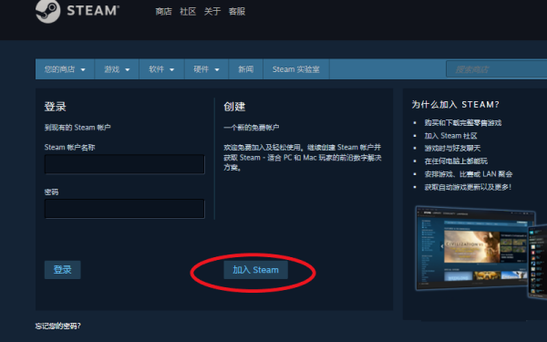 steam用户名的格式是什么样的
