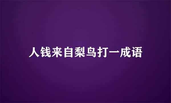 人钱来自梨鸟打一成语