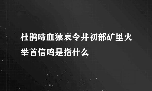 杜鹃啼血猿哀令井初部矿里火举首信鸣是指什么