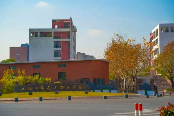 上海中本阻陈感号学贯通学校有哪些