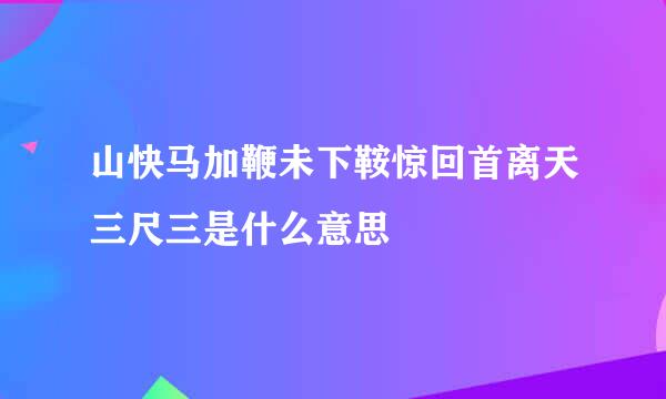 山快马加鞭未下鞍惊回首离天三尺三是什么意思