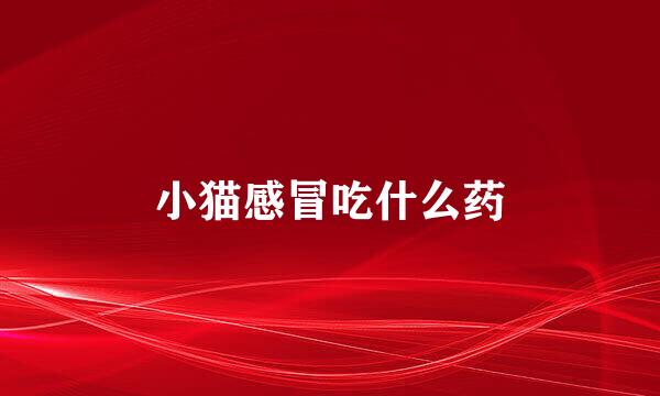 小猫感冒吃什么药