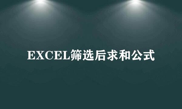 EXCEL筛选后求和公式