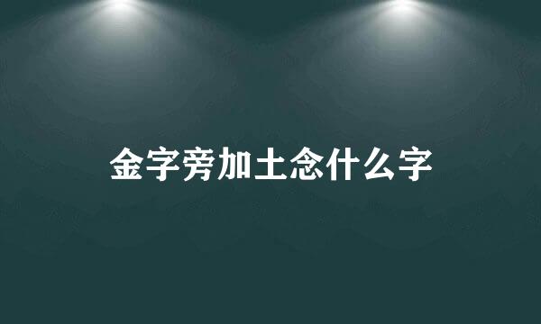 金字旁加土念什么字