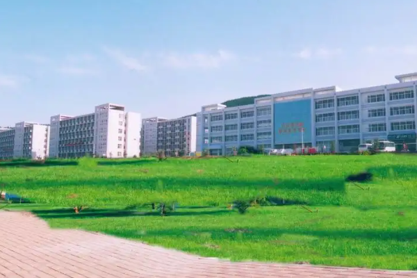 山东单招专来自科学校排名及分数线