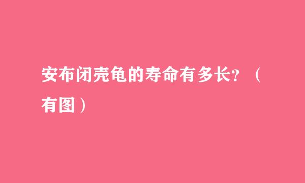 安布闭壳龟的寿命有多长？（有图）