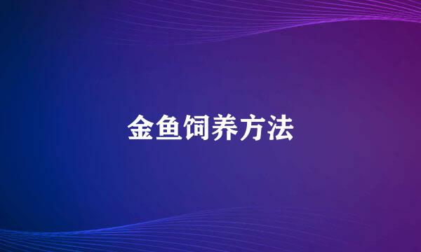 金鱼饲养方法