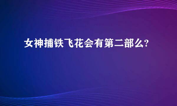 女神捕铁飞花会有第二部么?