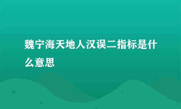 魏宁海天地人汉误二指标是什么意思