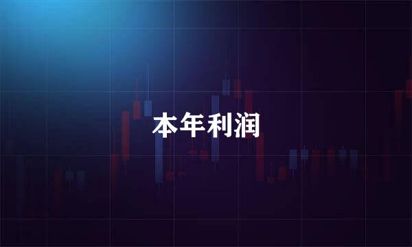 本年利润