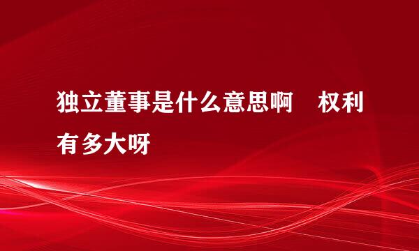 独立董事是什么意思啊 权利有多大呀