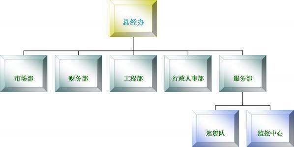 有限责来自任公司(自然人投资或控股)属于哪个分类?算不算个体经营企业?