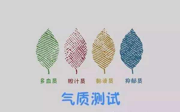 人的气质可分为胆汁质，多血质，粘液质，抑郁质。它们各自是什么意思?