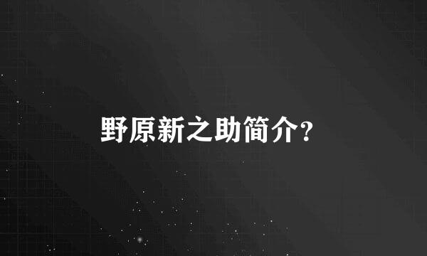 野原新之助简介？
