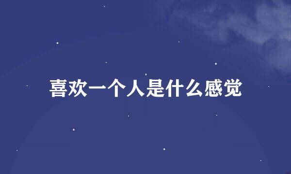 喜欢一个人是什么感觉