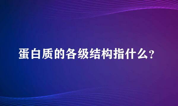 蛋白质的各级结构指什么？