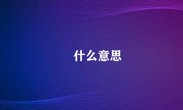 丼什么意思