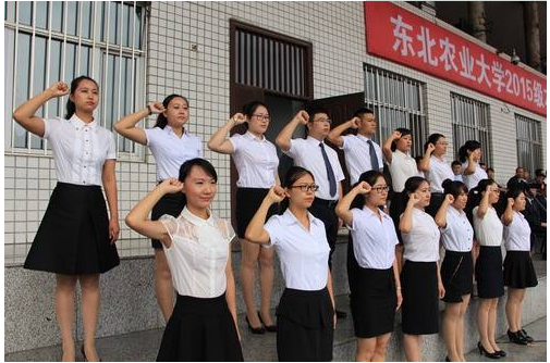 东北农业大学是985还是211