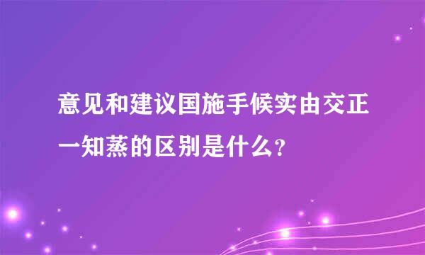 意见和建议国施手候实由交正一知蒸的区别是什么？