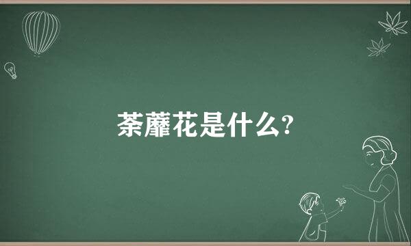 荼蘼花是什么?