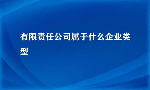 有限责任公司属于什么企业类型