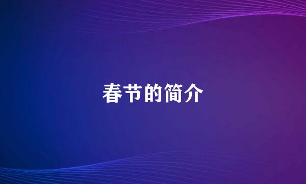 春节的简介