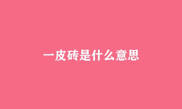 一皮砖是什么意思