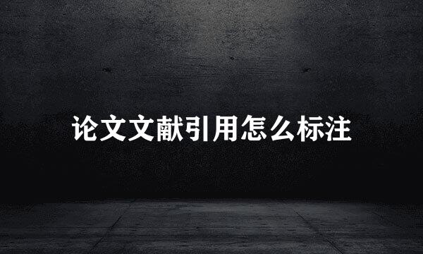 论文文献引用怎么标注