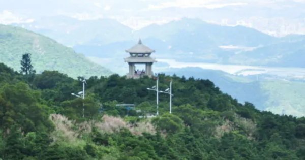 深圳一来自日游必去的地方有应哪些?