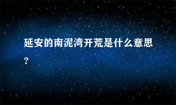 延安的南泥湾开荒是什么意思？