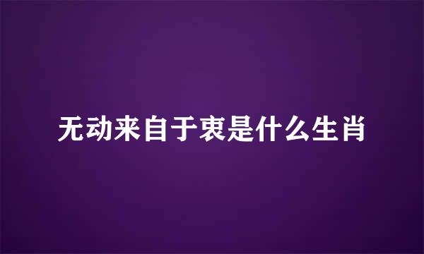 无动来自于衷是什么生肖