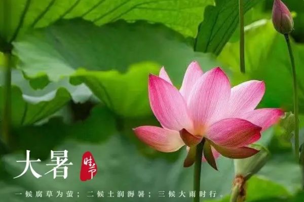 大暑小暑上蒸下煮是什么意思？