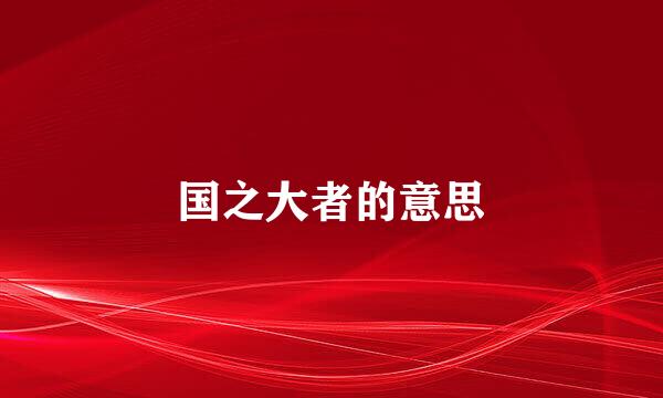 国之大者的意思