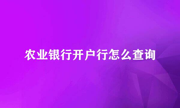 农业银行开户行怎么查询