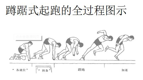 蹲踞式起跑的动作要领