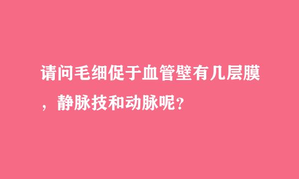 请问毛细促于血管壁有几层膜，静脉技和动脉呢？