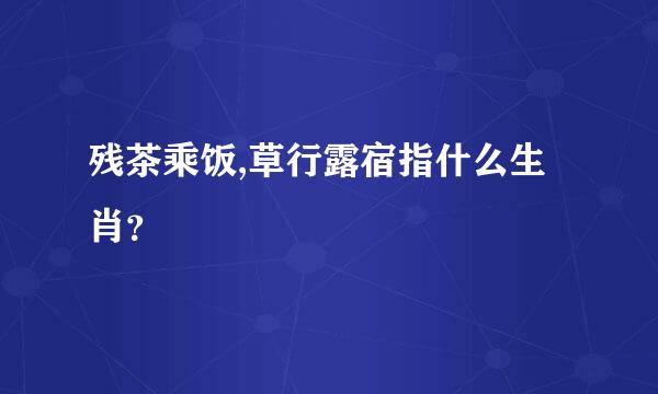 残茶乘饭,草行露宿指什么生肖？