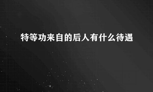 特等功来自的后人有什么待遇