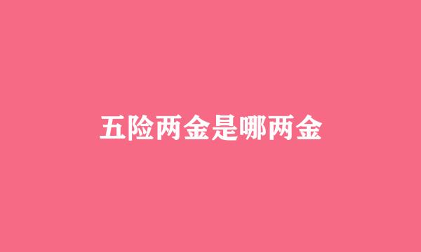五险两金是哪两金