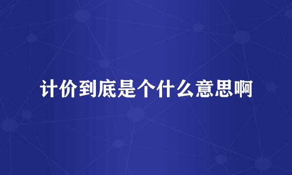 计价到底是个什么意思啊