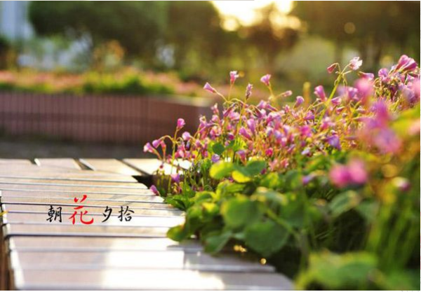 概括《朝花夕拾》1~6章的主要内容。