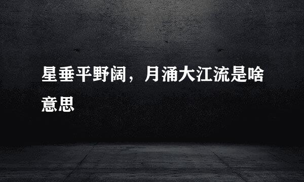 星垂平野阔，月涌大江流是啥意思