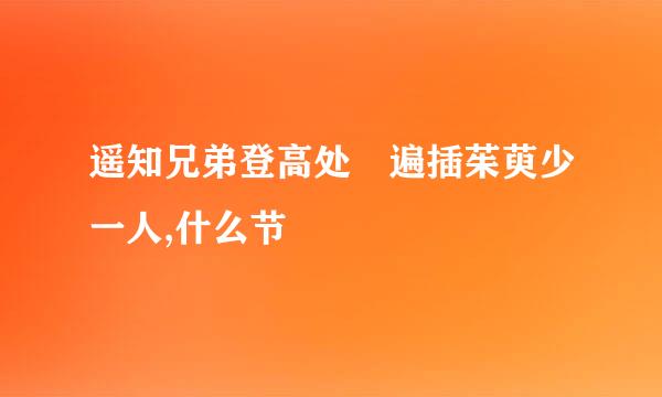 遥知兄弟登高处 遍插茱萸少一人,什么节
